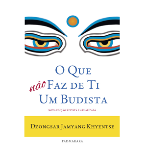 O QUE NÃO FAZ DE TI UM BUDISTA